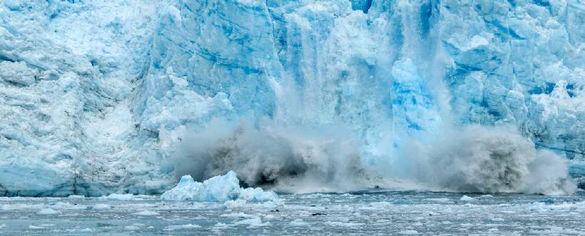 NEIS y Cambio Climático: Abordando la Sostenibilidad desde la Perspectiva Ambiental