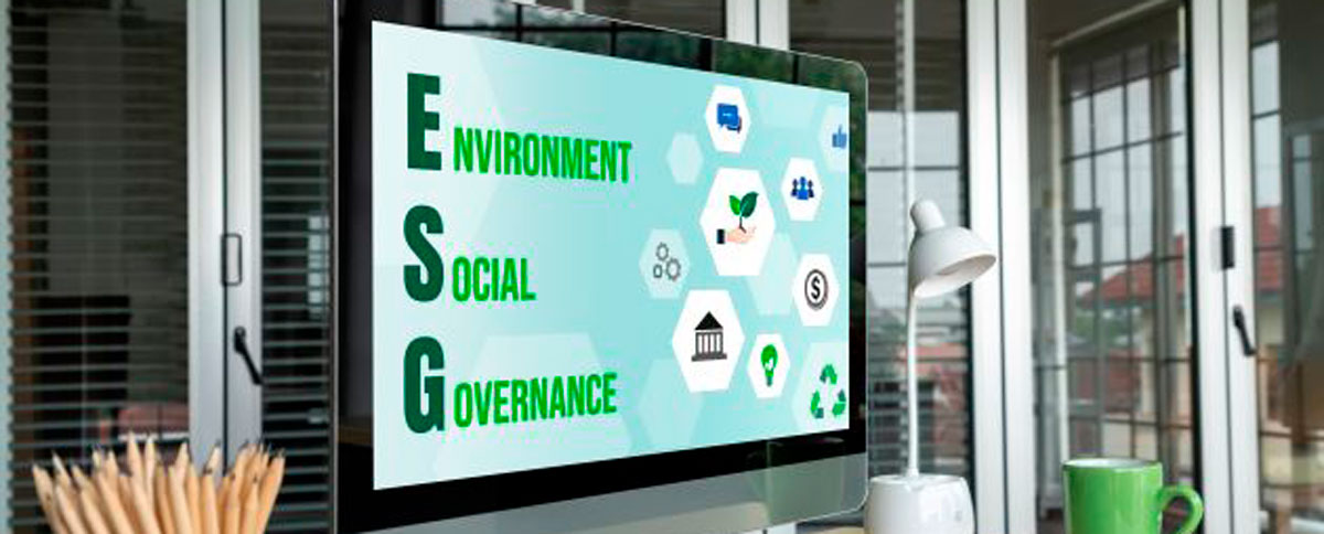 estándares de informes ESG