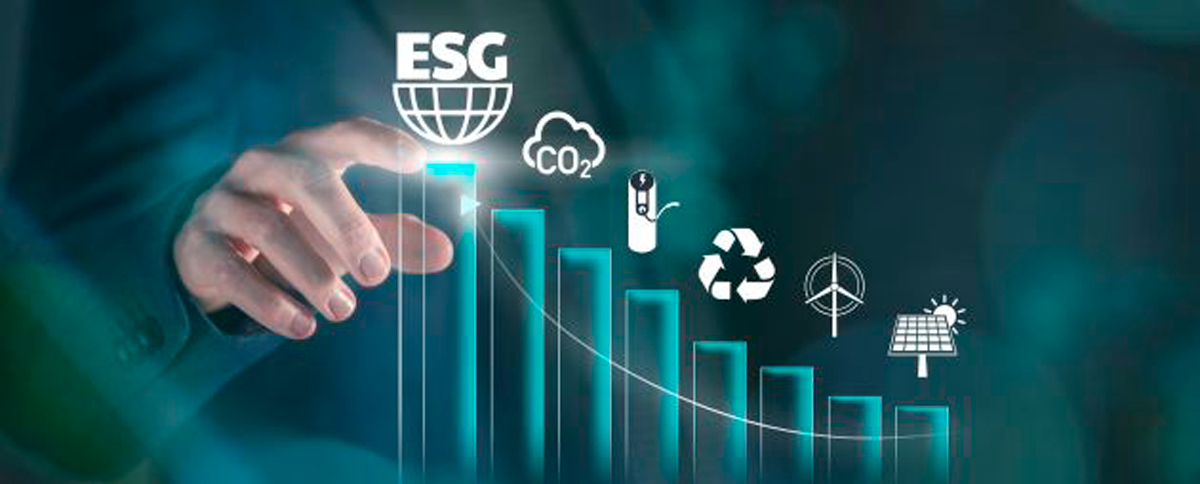 Sostenibilidad empresarial