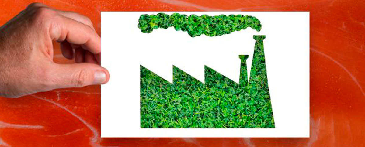 Greenwashing