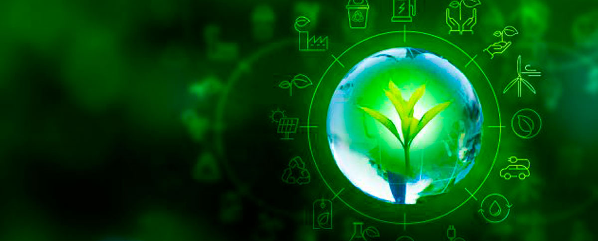 Sostenibilidad Ambiental