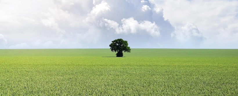 Herramienta de reportes ESG