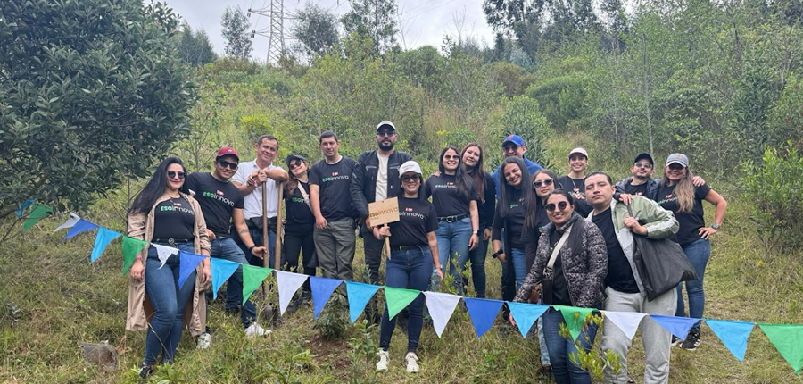 Actividad de Navidad Colombia 2025