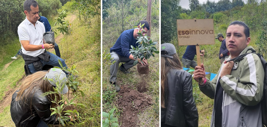Actividad de Navidad Colombia 2025
