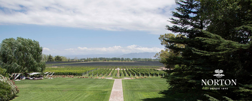 Bodegas Norton