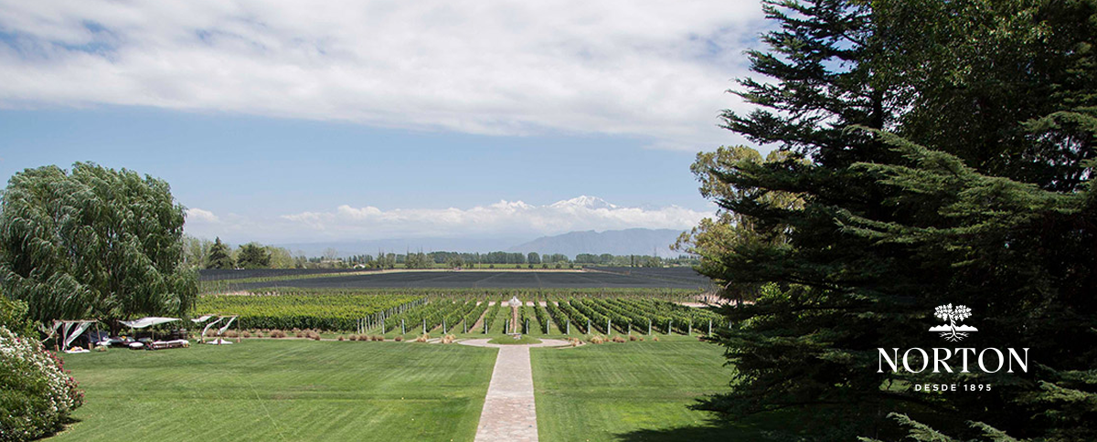 Bodegas Norton